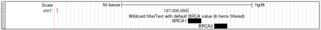 Text filter configuration example showing filter input fields for track data