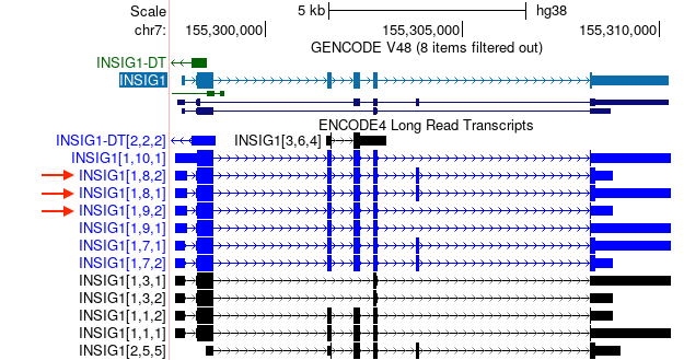 Browser display of ENCODE 4 long-read RNA transcript annotations