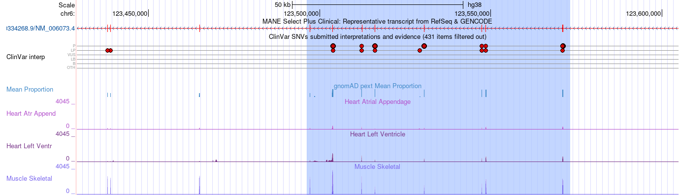 Browser display of hg38 patch extension tracks with sequence alignments