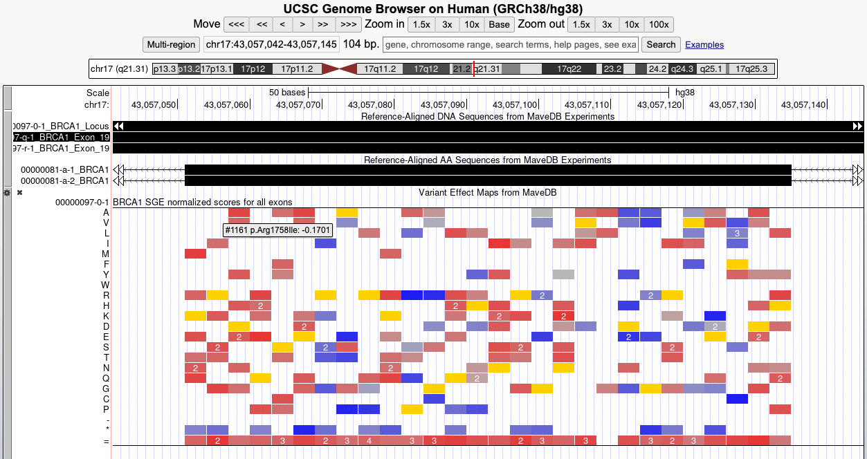 Browser display of MaveDB BRCA1 variant effect map scores