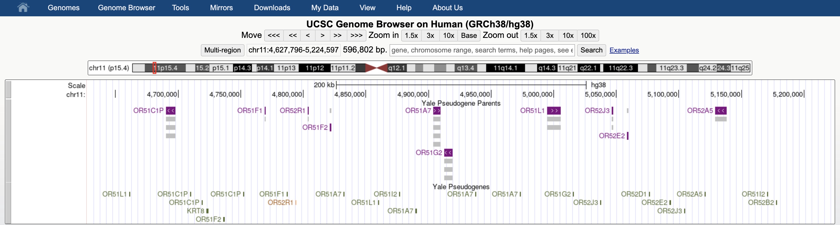 hg38 session
  visualizing the Pseudogenes track