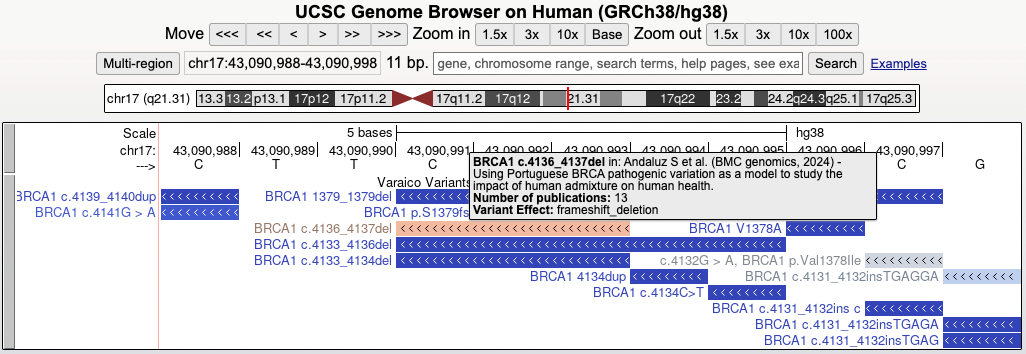 Screenshot of the Varaico clinical variant browser interface