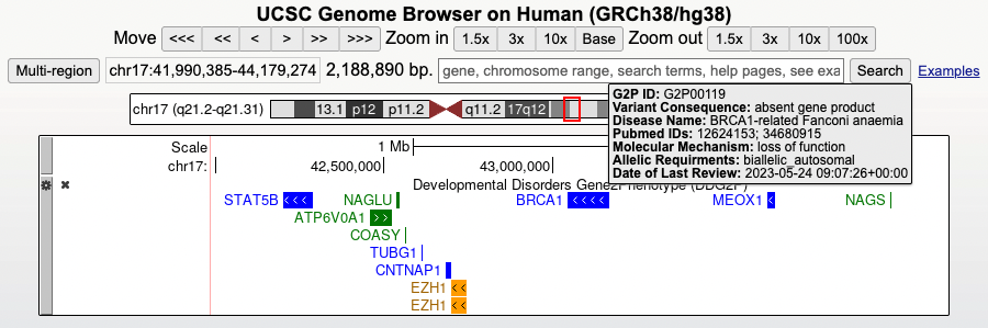 Browser display of developmental disorder gene-to-phenotype tracks
