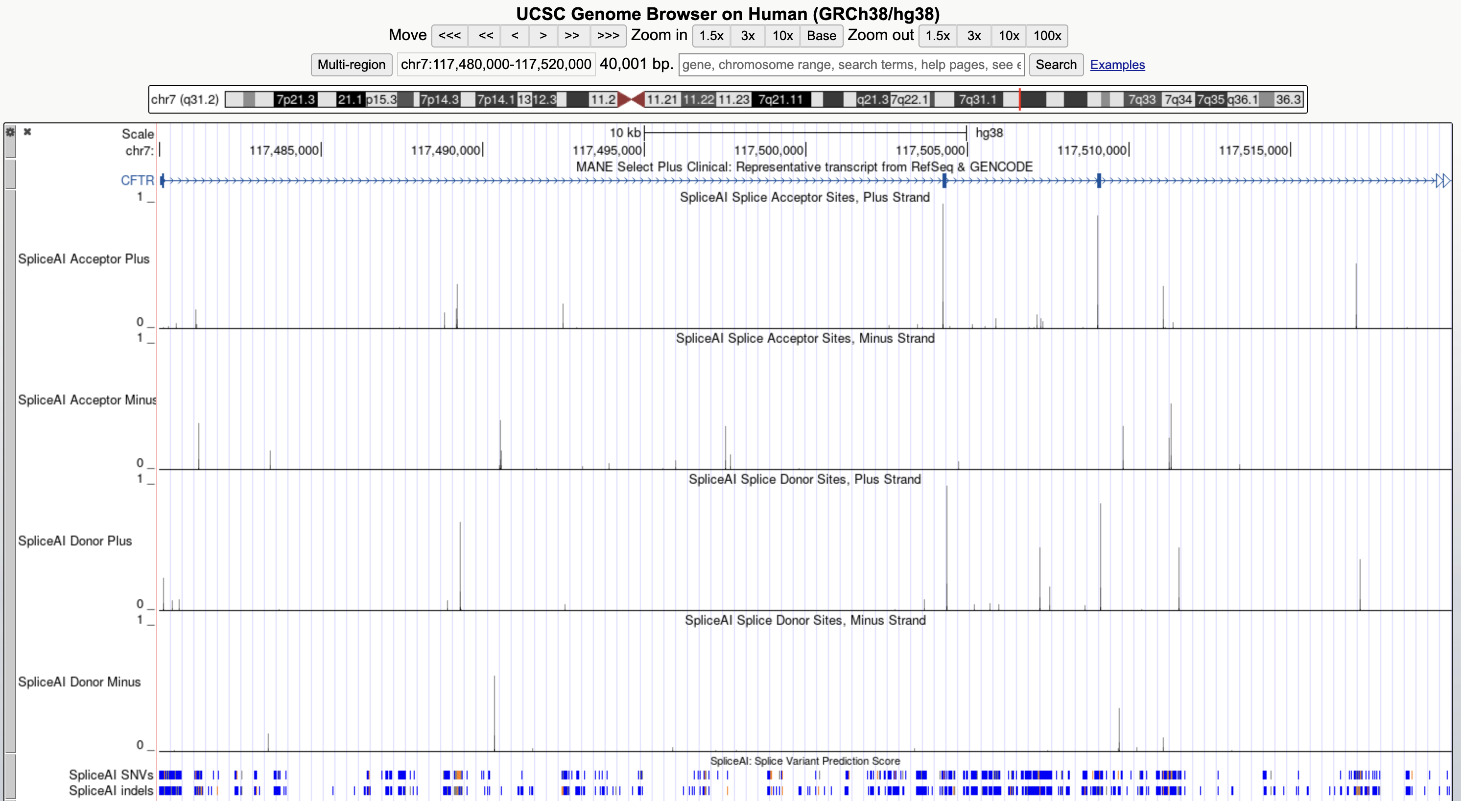 Browser display of SpliceAI variant pathogenicity prediction scores